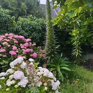 Maison Avec Jardin Proche Hébergement de vacances